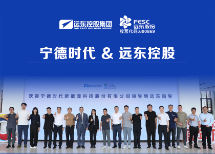 宁德时代零碳能源事业部执行总裁肖丽娜率队来访远东